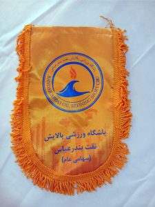 Ali Reza Tahmasebi